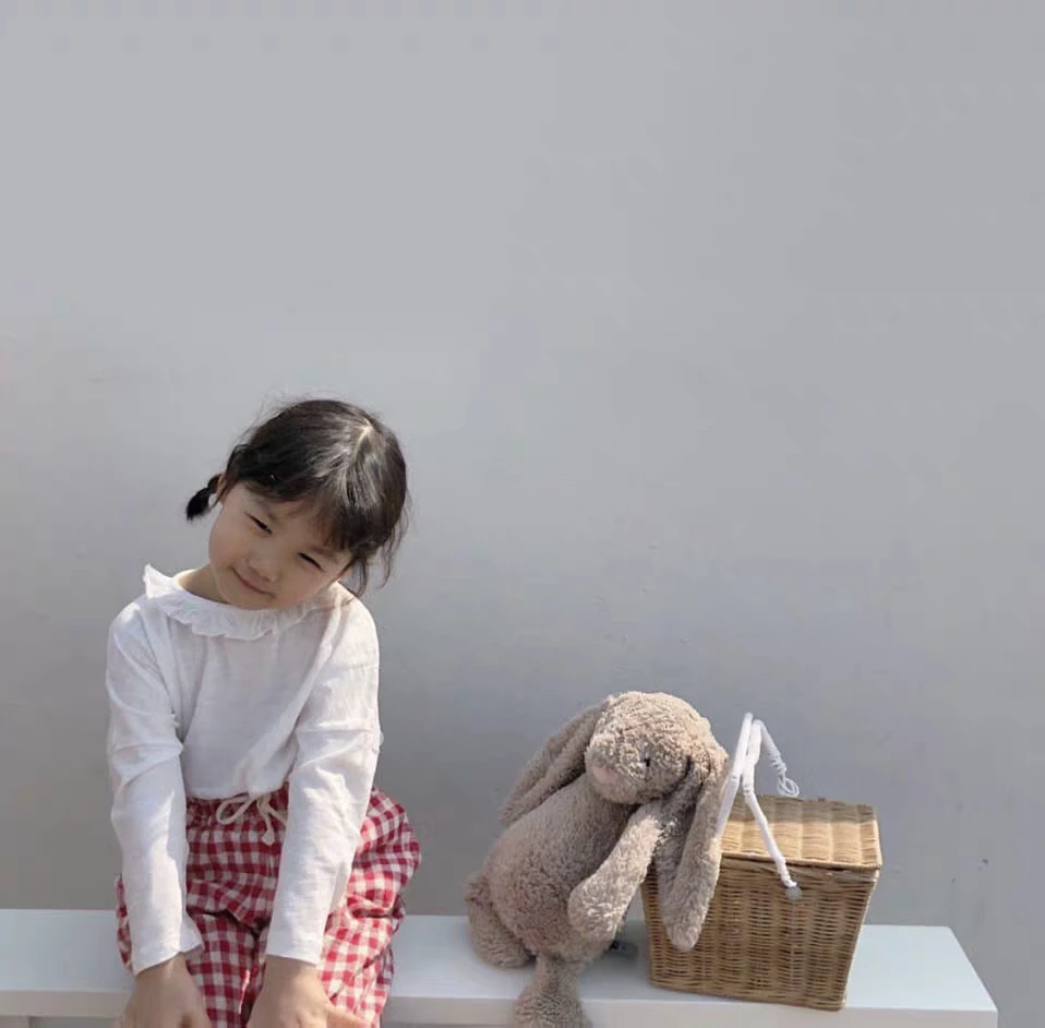 Children Cute Picnic Basket Kids Rattan Storage Basket Bag Box Hamper Shopping Vintage Basket with Lid and  for Camping Pets