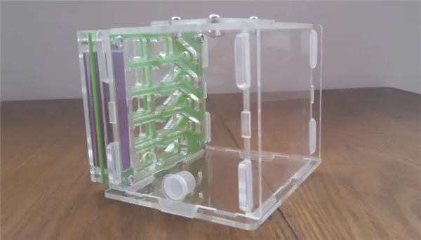 T2-Ant-nest (2)
