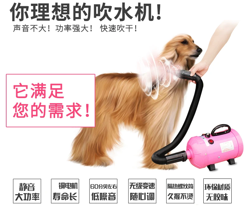 Профессиональный фен для домашних животных, воздуходувка для волос, 220 В, фен для больших собак, высокая мощность, бесшумный быстрый нагреватель