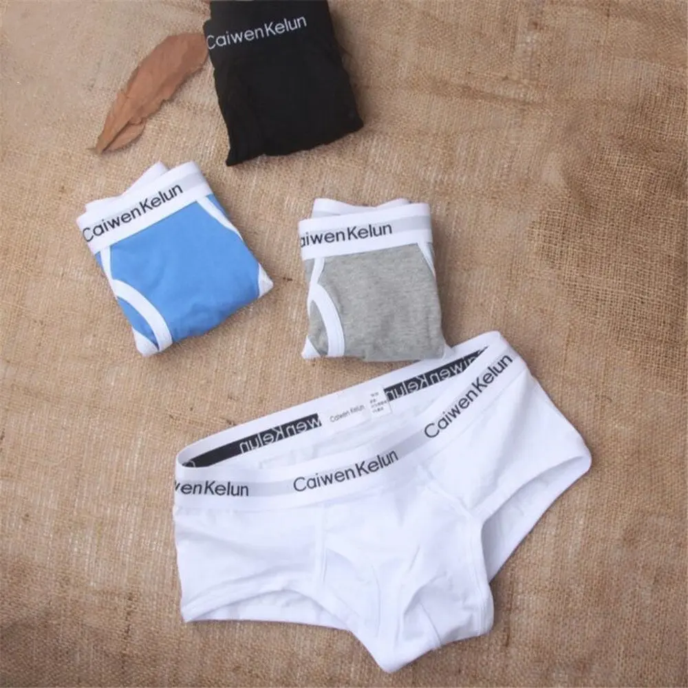

Men Briefs 10pcs\lot Cotton Men Underwear cuecas Soft Underpants High Quality Boys Panties M-2XL