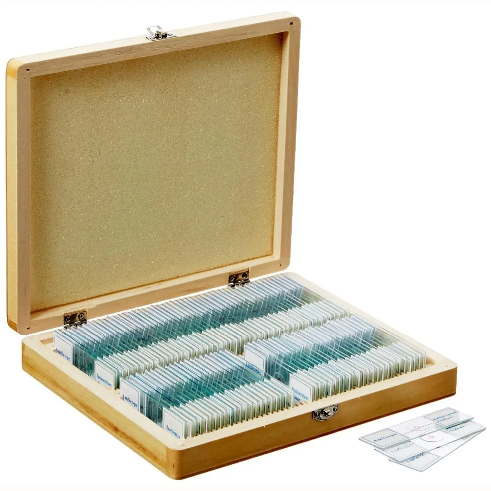 

AmScope 100 PC Prepared Microscope Glass Slides - Set B PS100B