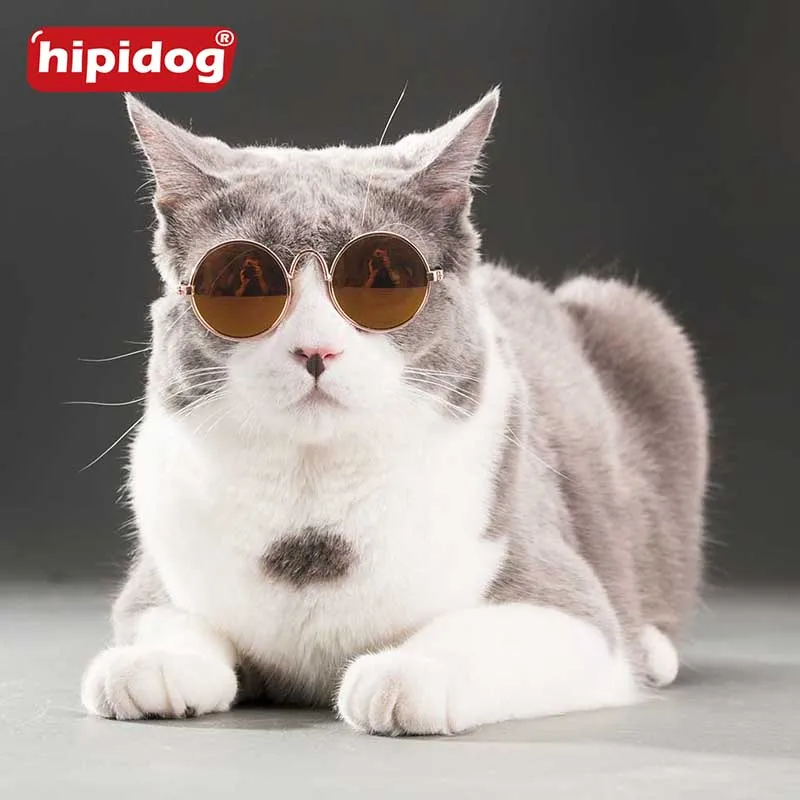 Hipidog животное здорово Очки модные с коробкой Pet Товары для собак Cat Солнцезащитные