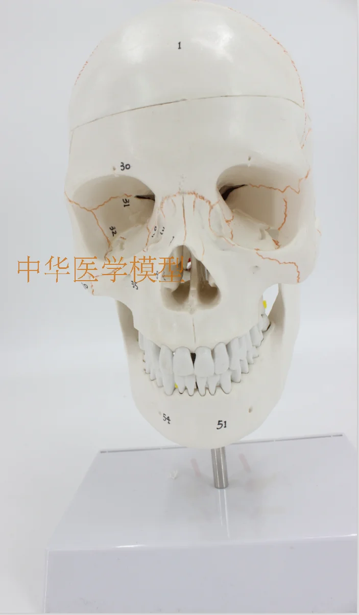 //img.alicdn.com/imgextra/i3/403496940/TB2QO2cawxlpuFjy0FoXXa.lXXa_!!403496940.png