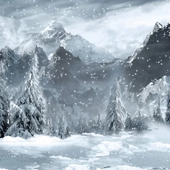 

Snow Winter Photographic Background Grey Gray Mountain Cloudy Cold Scenic Photo Studio Photography Backdrops 150cm*200cm