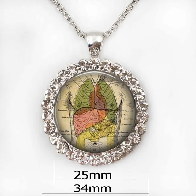 Human anatomy pendant internal organs anatomy necklace Anatomical
