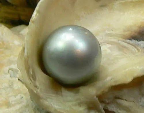 

huij 00646 PERFECT NATURAL 12MM AUSTRALIAN SOUTH SEA GENUINE GREY SILVER LOOSE PEARL