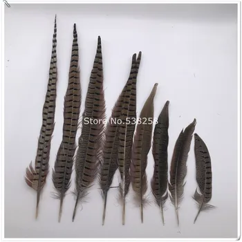 

Free shipping natural pheasant feather 9 size can 100pcs/lot ringneck pheasant tail feather for wedding/dress/diy decoration