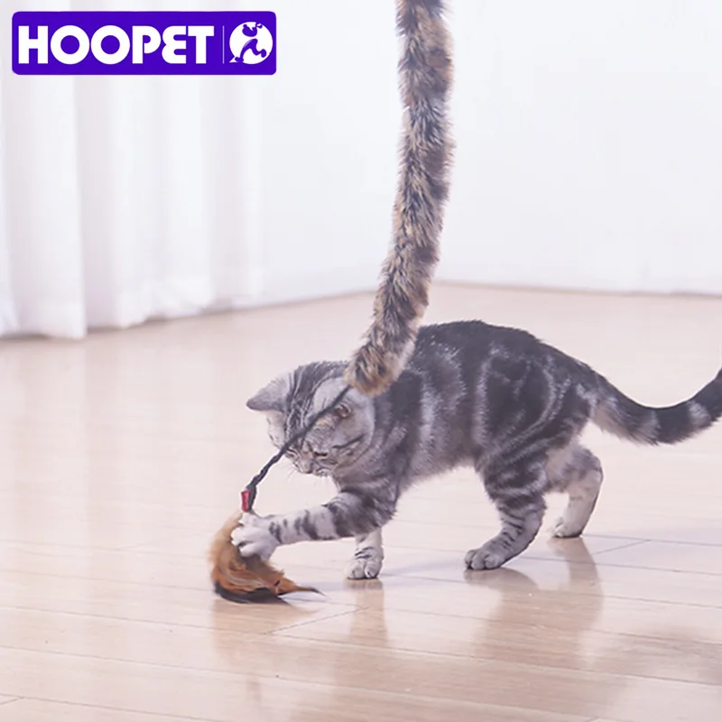 Buy HOOPET 1pc Cat Tease Sticks Toys Pet Coiled Cat