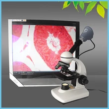 Производство Китай Монокуляр для студентов биологический составной Микроскоп TXS05-05B