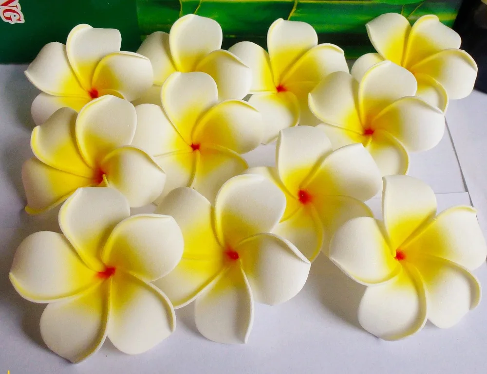 50 large high quality white colour Foam Frangipani Flower Hawaiian