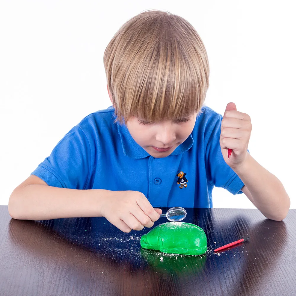 Children Insect Fossil Archaeology Excavation Science Toys Development Educational Toys For Children Christmas Gifts