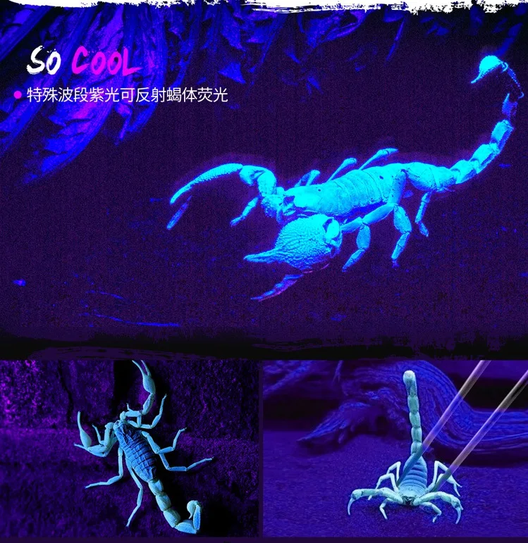 8181059306_2085865990