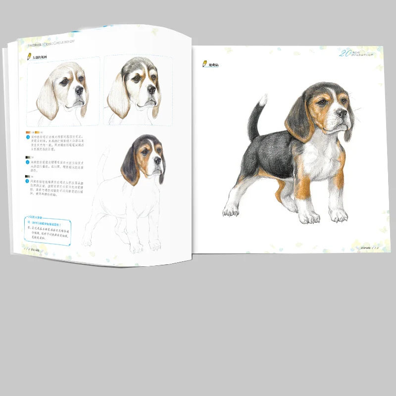 Coloring Book Pencil Sketch Entry Books Chinese Line Drawing Books Animal Sketch Basic Knowledge Tutorial Book For Beginners Coloring Book Pencil Sketch Entry Books Chinese Line Drawing Books Animal Sketch Basic Knowledge Tutorial Book For Beginners