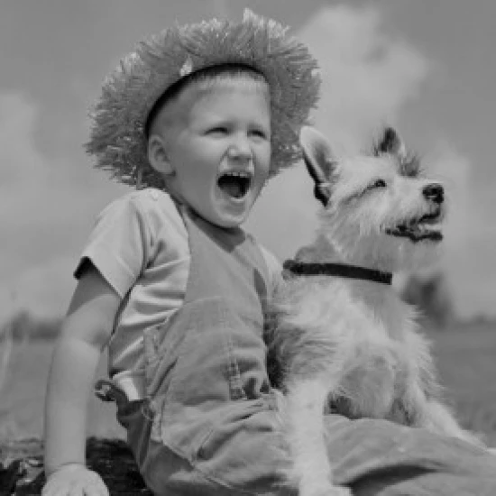Boy with terrier dog Poster Print (18 x 24)