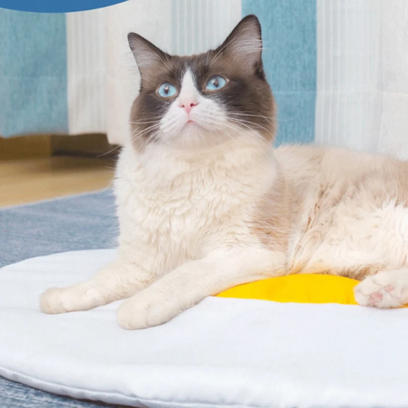 Pet подстилка для кошки омлет коврик желток дизайн Кошачий подстилка домашних животных удобный спальный коврик товары для котов гнездо