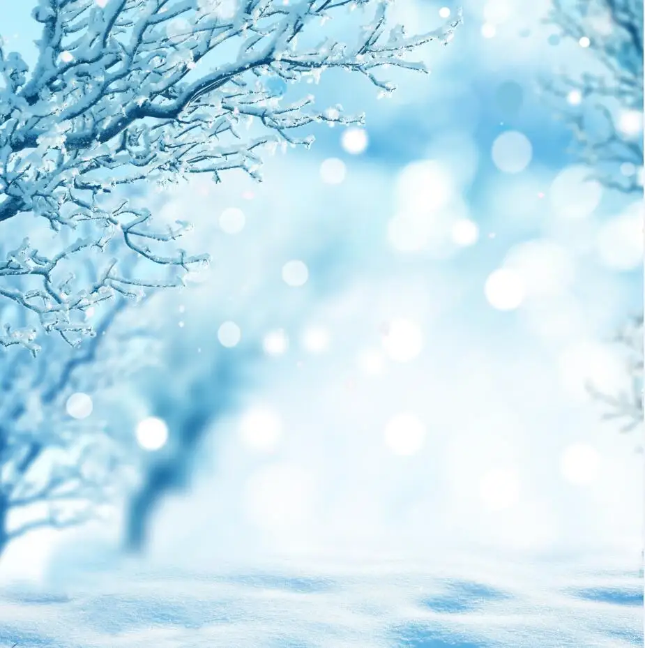 

Vinyl Custom Photography Backdrops Prop Digital Printed Christmas day theme Photo Studio Background CHANG-02117