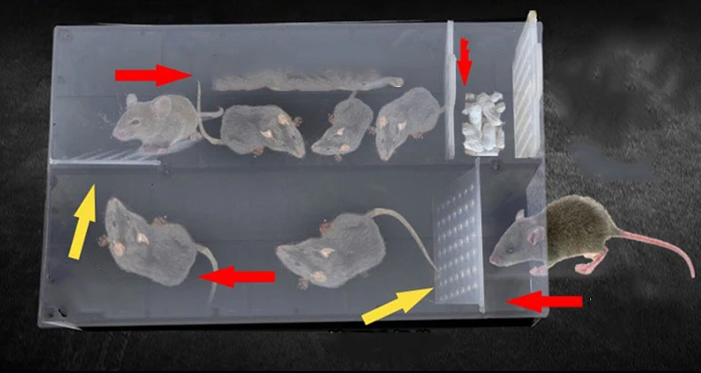 Бытовая ловушка для мыши, Автоматическая непрерывная ловушка для мыши, многоразовая ловушка для ловли крыс с высоким эффектом, ловушка для ловли крыс, ловушка для ловли мышей-убийц, клетка для грызунов