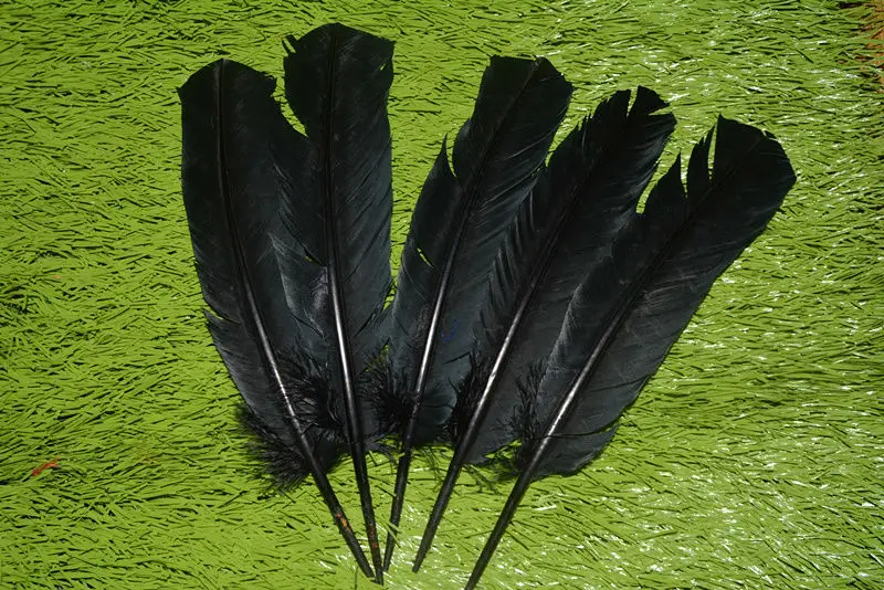 heat! Buy 10pcs beautiful black goose feathers 10 12 inches / 25 32cm