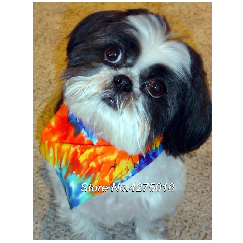 Картина из страз с животными Shih Tzu pet dog мозаика квадратных/круглых сделай сам