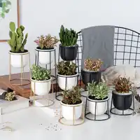 Set of 3pcs Modern Planter Pot With Gold Black Iron Shelf Succulent Plant Pot Desktop Flowerpot Metal Stand Fairy Garden Decor