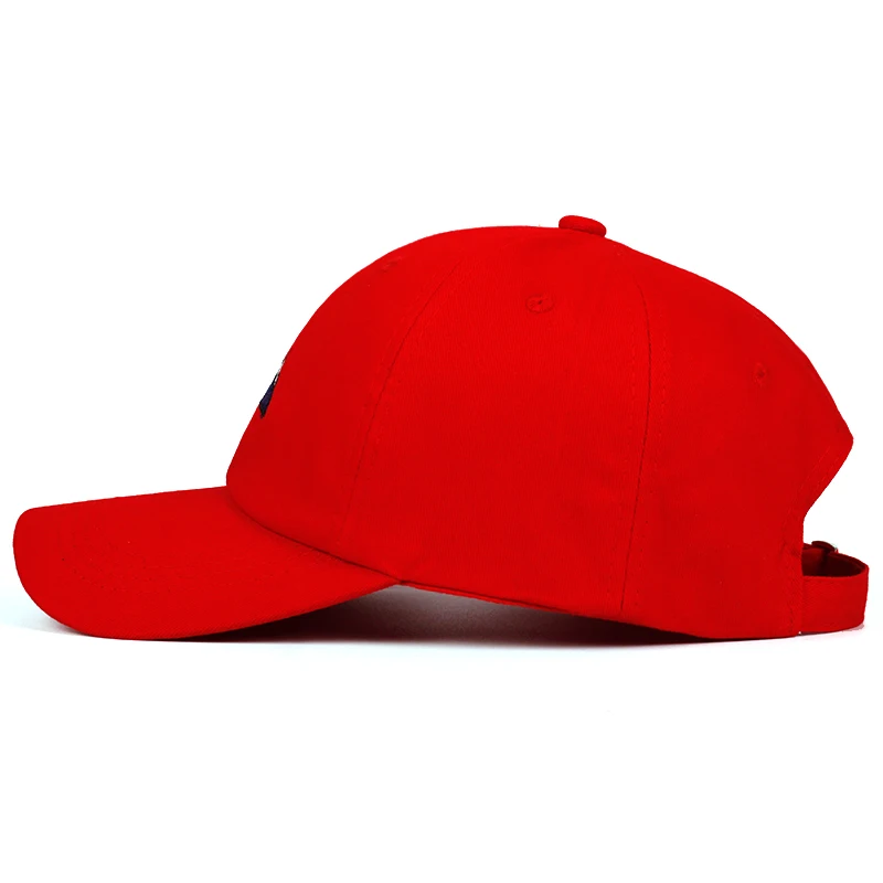 Snow mountain Dad Hat Castle Peak 