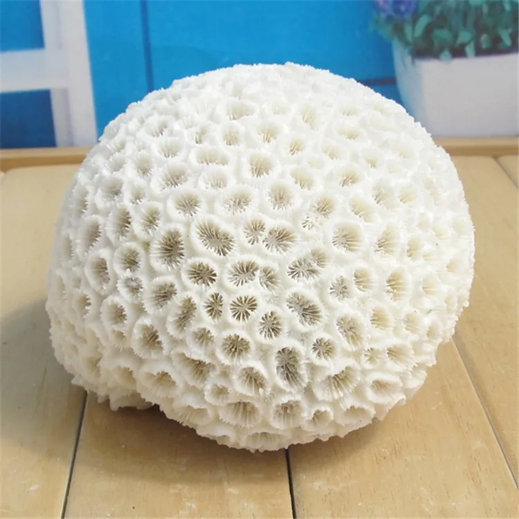 Natural White Round Decorative Coral Rare Beautiful Home Ornaments Fish Tank Aquarium Landscape Coral Wedding Decorations 6
