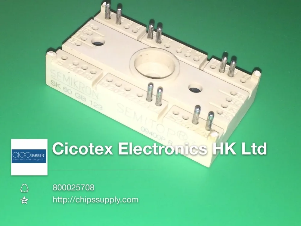 

SK60GB123 MODULE IGBT