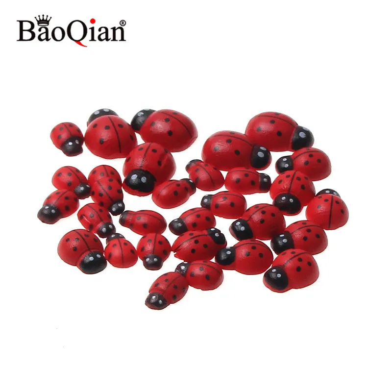 B02350 (5)