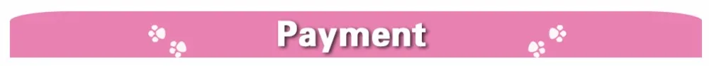payment