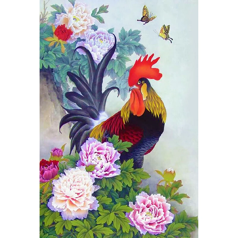  50x70 - 