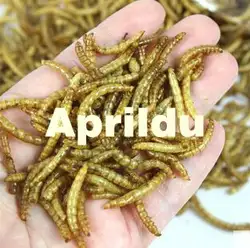 100 г Сушеные Mealworms для аквариумных рыб корм рептилий черепахи хомячка диких птиц Pet Еда Кормление игрушка