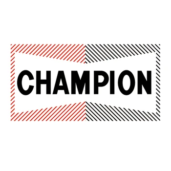 

Champion flag Decoration banner 90*150cm/ 3x5ft for hanging
