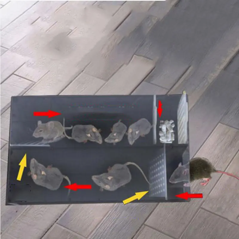 Mousetrap Artifact Household Automatic Continuous Mousetrap Reusable Catch Mouse Traps Catcher Mice Hunt Rat Mice Rodent Cage Mousetrap Artifact Household Automatic Continuous Mousetrap Reusable Catch Mouse Traps Catcher Mice Hunt Rat Mice Rodent Cage
