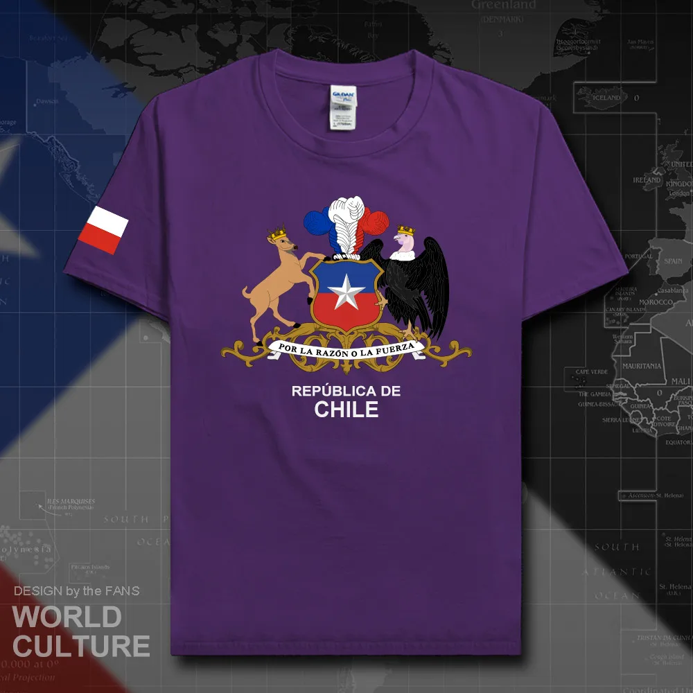 HNAT_Chile20_T01purple