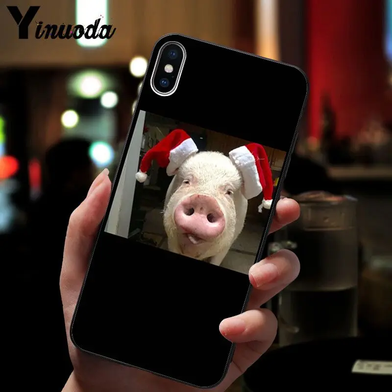 Cute Pig Print 