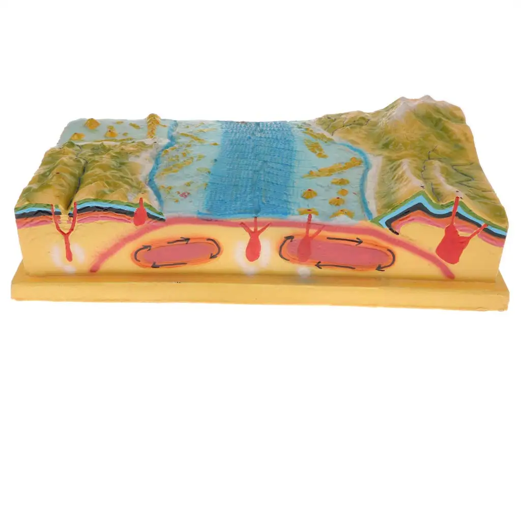 

3D Geographical Plate Tectonic Model Sea Bottom Mountain Earth Crust Model School Teaching Tool Geography Learning Display