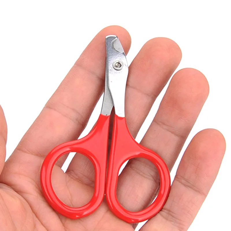 Stainless steel когтерез для собак. Gro 5810 ножницы для стрижки (для кошек). Когтерезка для кошек. Ножницы для животных. Ножницы hello pet 67165.