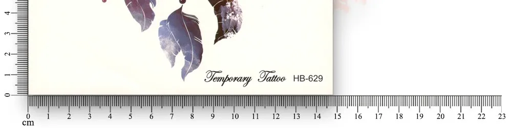 HB629CC_04