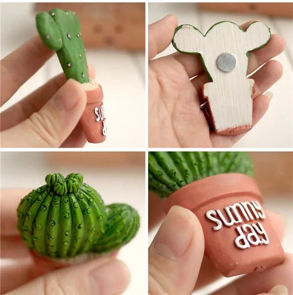 Cute Cactus Succulent Plants Fridge Magnets - 6