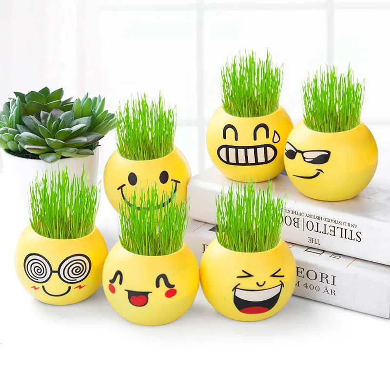 

1PC Expression Long Grass Head Doll Micro Landscape DIY Mini Plant Pot Decoration Grass Planting Potted Crafts U3