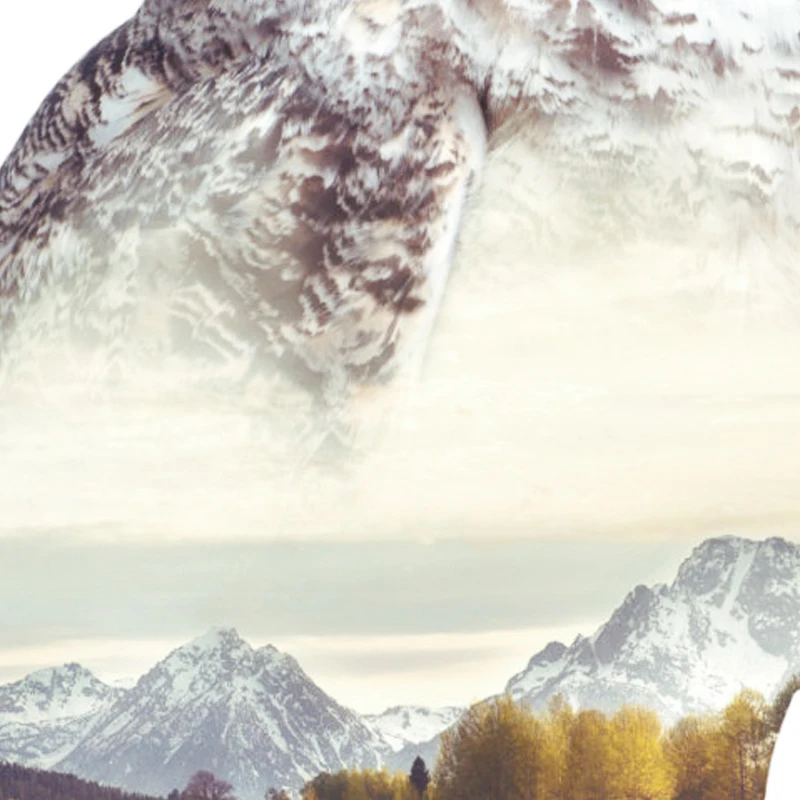 il_fullxfull.690895287_56ib