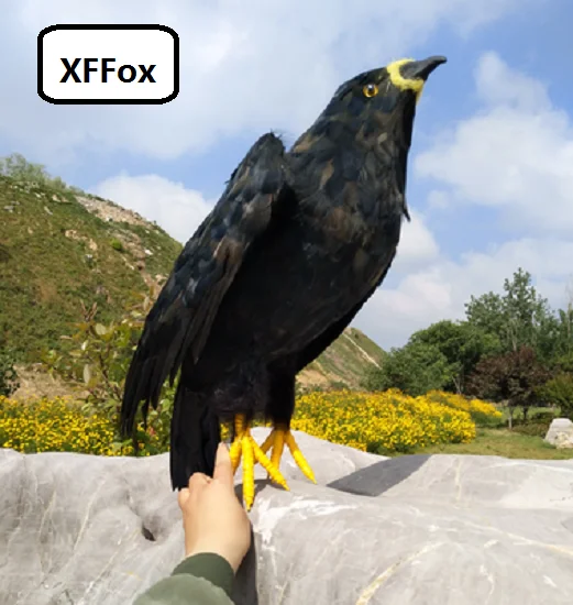 

big real life black eagle model foam&feather simulation little wings eagle bird gift about 50x40cm xf0832