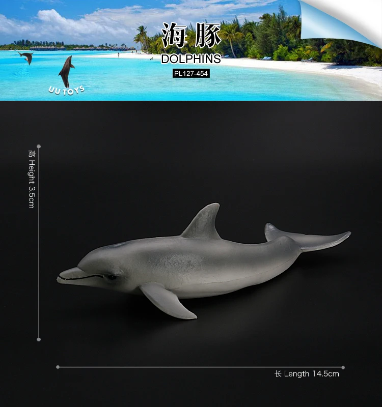 海豚-454