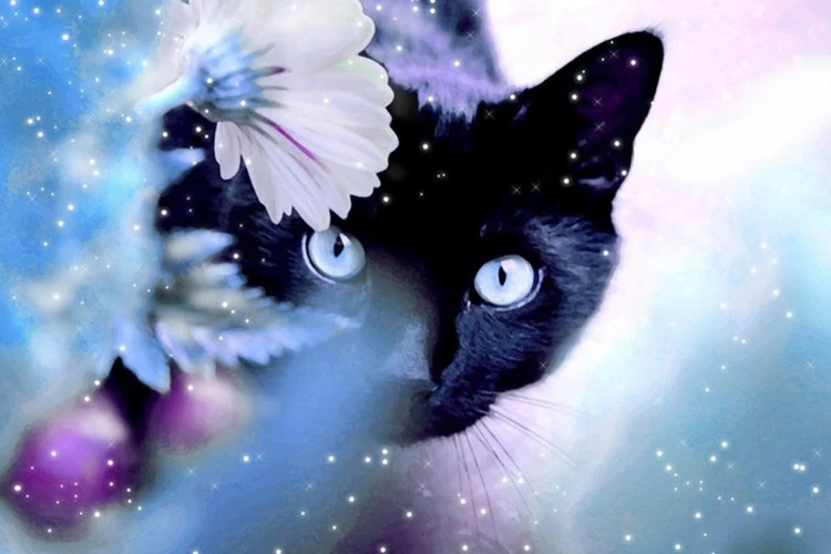 

A1249 Diamond Embroidery Home Decor 3DIY Cat lovely 100% area Resin Tool dril Painting Cross Stitch Fashion Mosaic Needlework