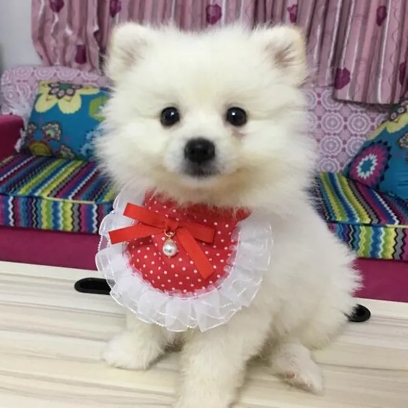 QQ20170923144848