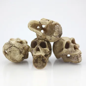 Resin Skull Reptile Cave Decor 1