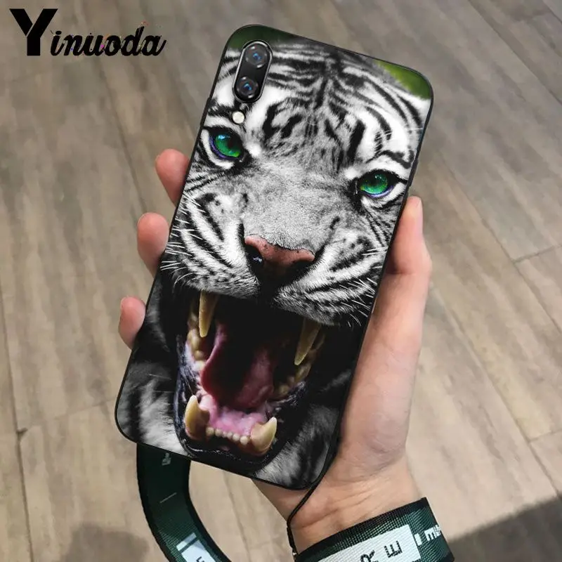 Tiger Leopard Print Panther