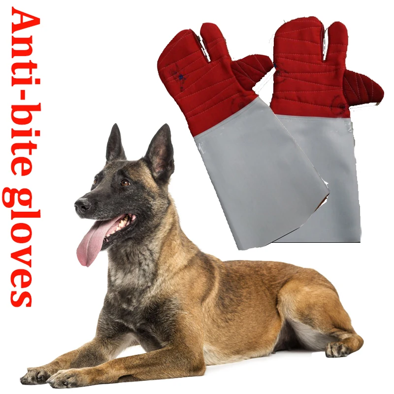 2548 20 De Réductiongants Anti Morsure à Trois Doigts Entraînement Animal Tactique Pour Chien Chat Serpent Morsure Anti Rayures Formation De