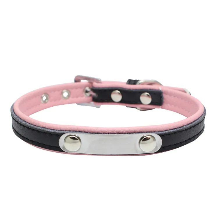 dogs collar (12)