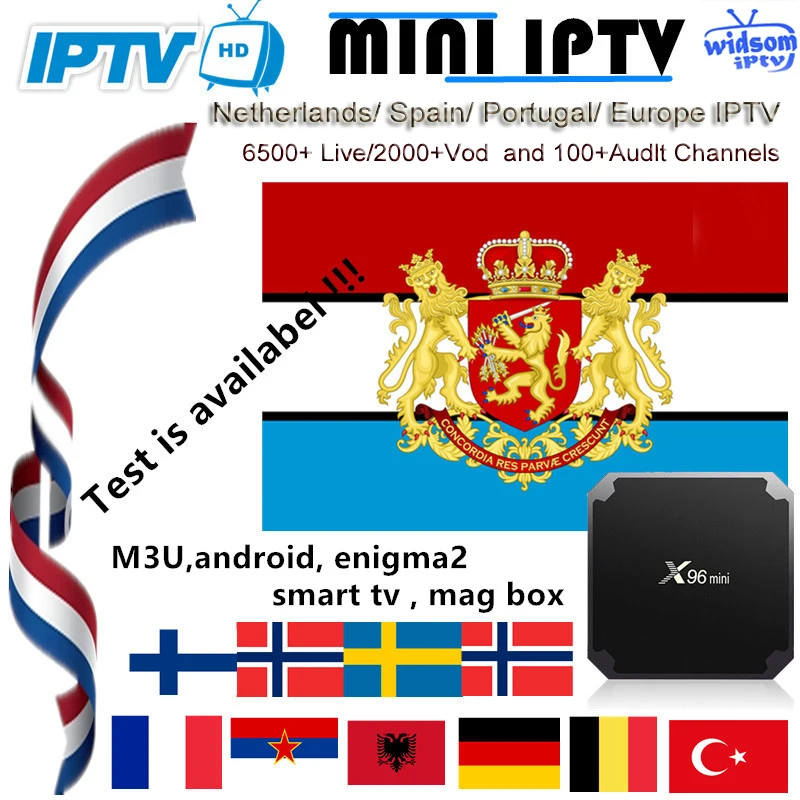 

Dutch Netherlands IPTV Subscription Spain France UK German Arabic Sweden French Poland Portugal Smart TV IPTV M3U 6500 Live